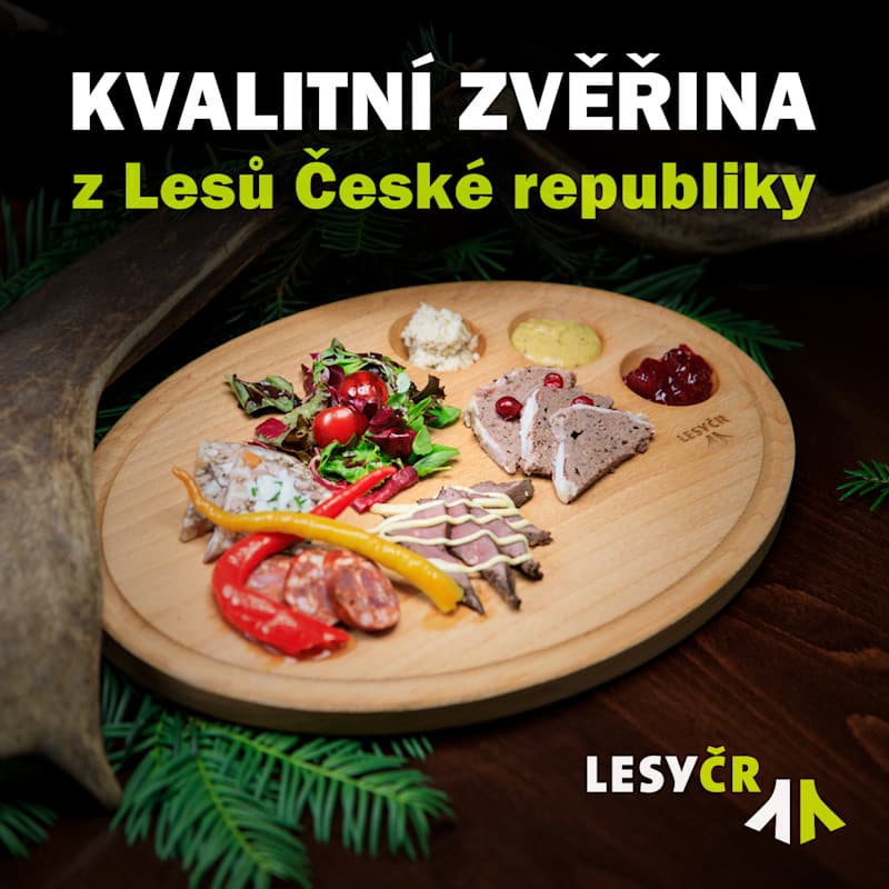 Lesy zvěřina